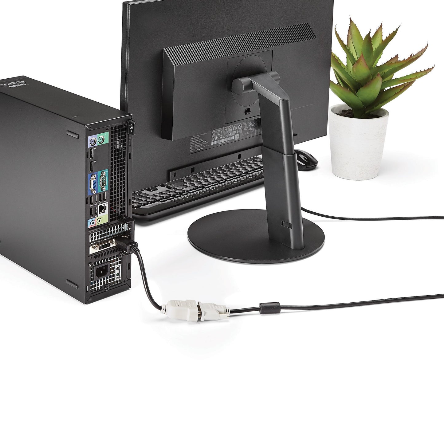StarTech.com DP2DVI adaptador de cable de vídeo 0.24 m DVI-D Negro