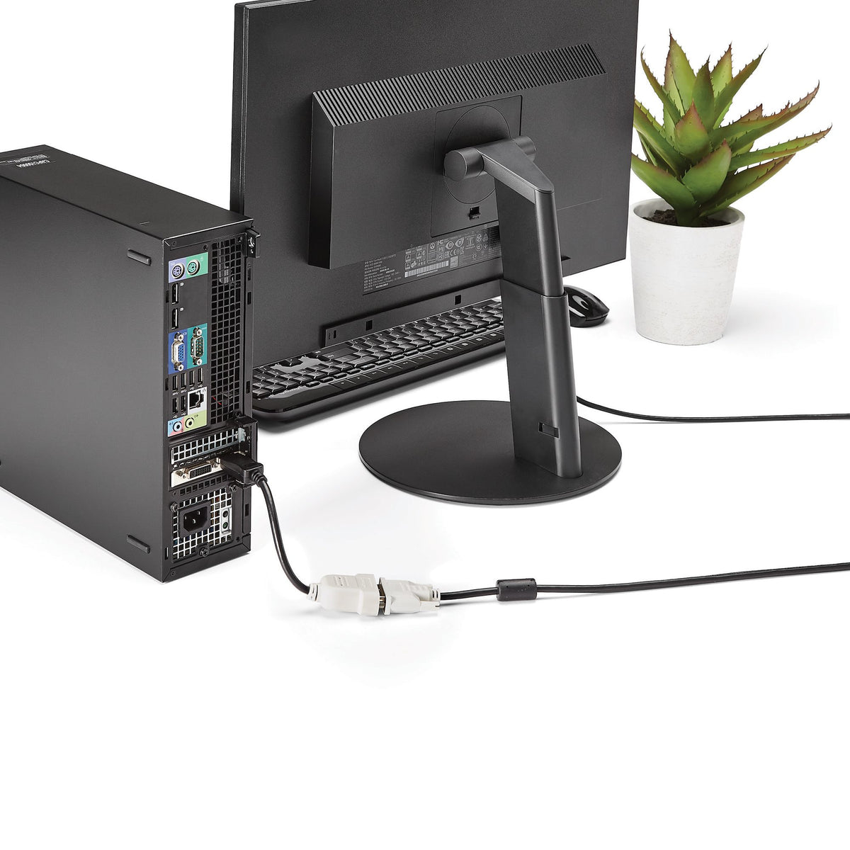 StarTech.com DP2DVI adaptador de cable de vídeo 0.24 m DVI-D Negro