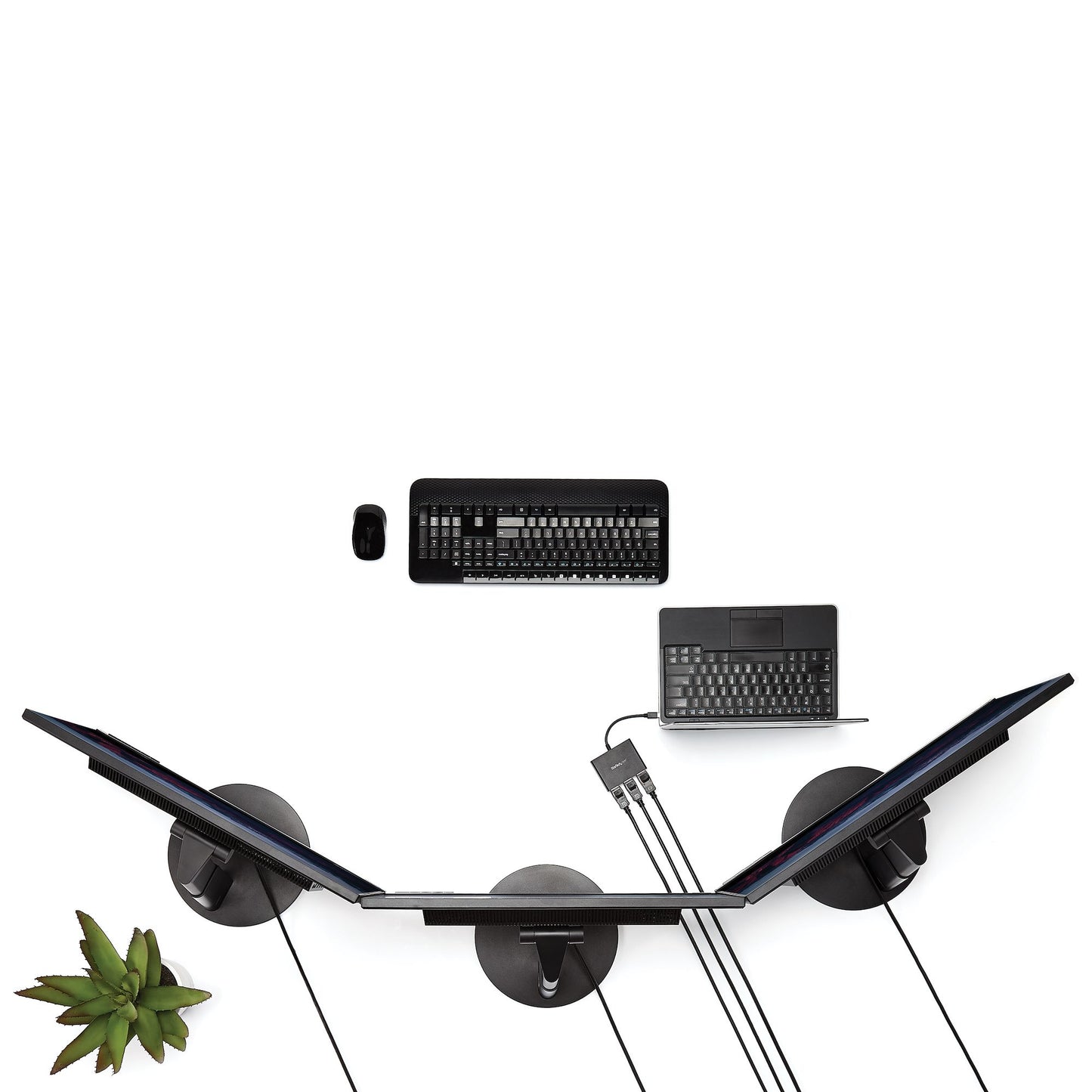 StarTech.com MSTMDP123DP divisor de vídeo