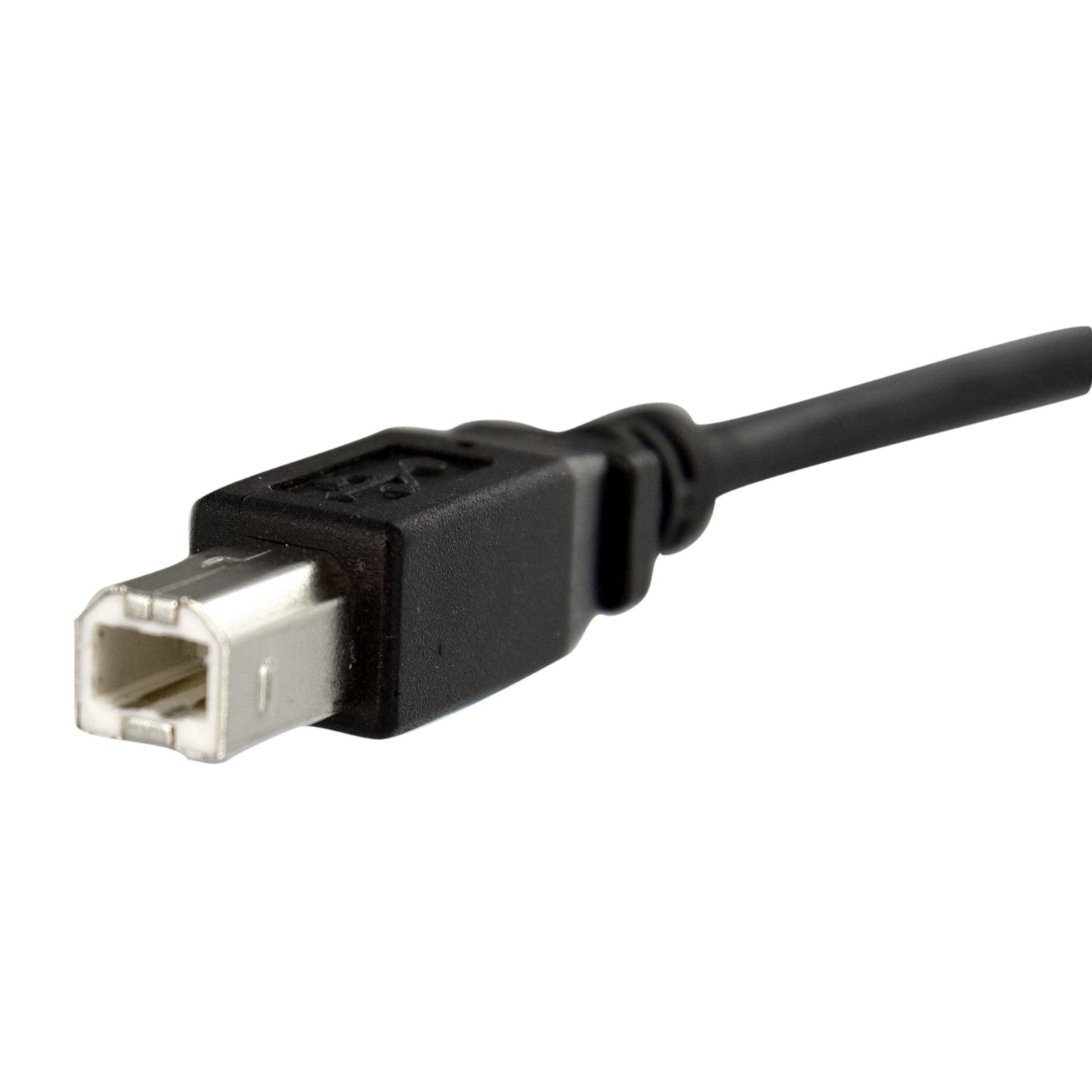 StarTech.com USBPNLBFBM1 cable USB USB 2.0 0.3 m 0.48 Gbit/s Negro