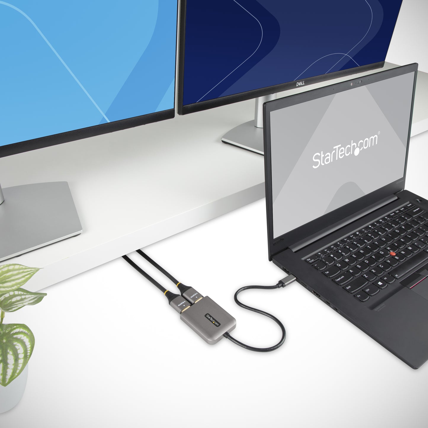 StarTech.com MST14CD122HD adaptador gráfico USB 3840 x 2160 Pixeles Negro, Gris