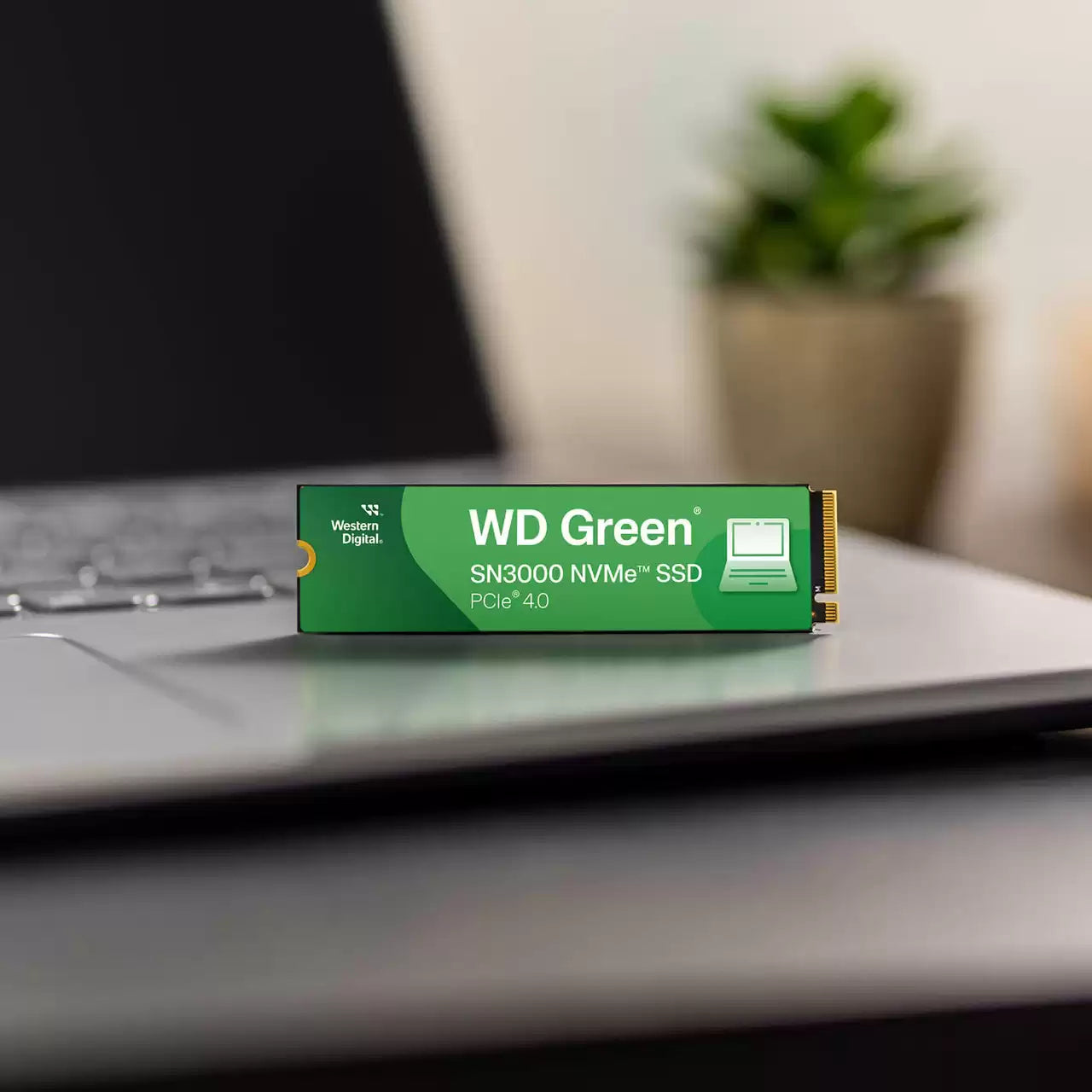 Unidad de Estado Solido Western Digital Interno de 500GB Green SN3000 PCIe Gen4x4 NVMe - Lectura y Es