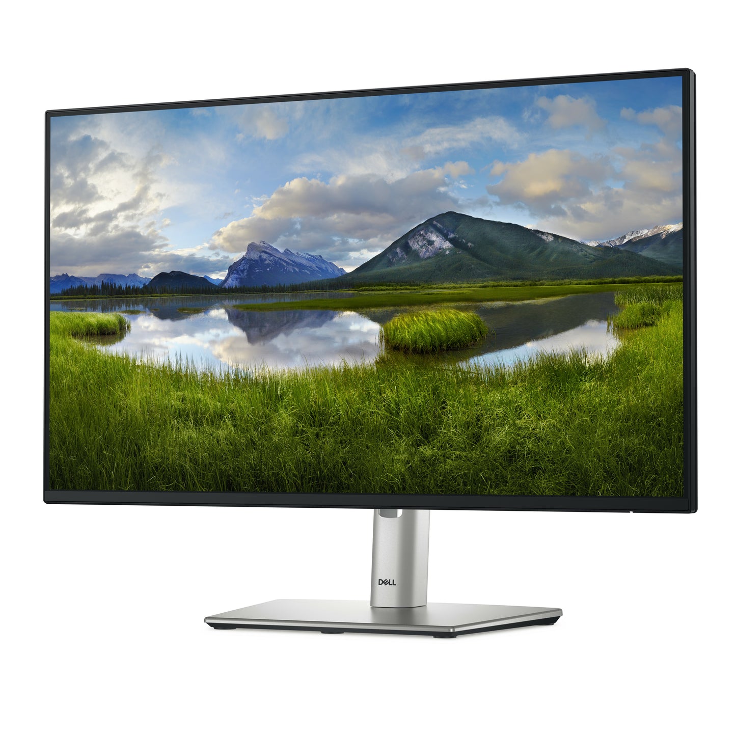 DELL Pro Plus P2425H monitor de computadora 61 cm (24") 1920 x 1080 Pixeles Full HD LCD Negro