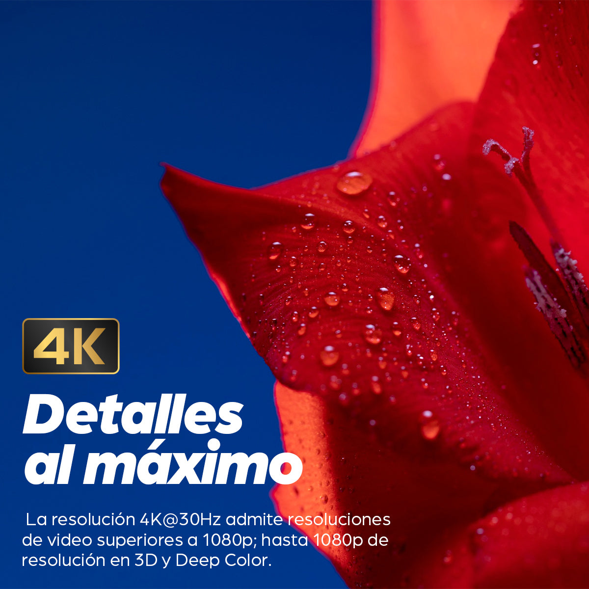 Manhattan 306133 cable HDMI 5 m HDMI Tipo A (Estándar) Negro