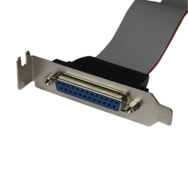 StarTech.com DB25 (F) - IDC26 DB-25 25 pin D-Sub IDC 26 pin Motherboard Header Gris