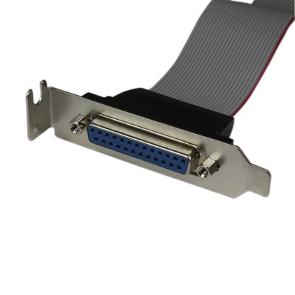 StarTech.com DB25 (F) - IDC26 DB-25 25 pin D-Sub IDC 26 pin Motherboard Header Gris