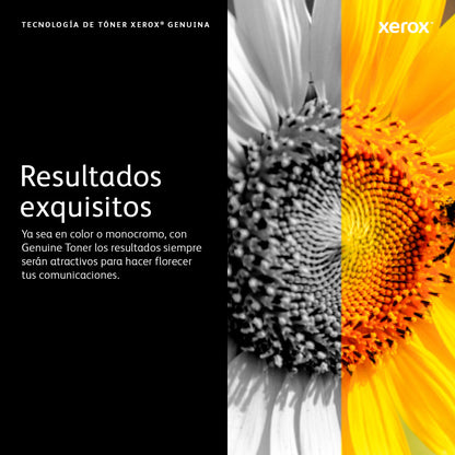 Xerox 006R04398 cartucho de tóner 1 pieza(s) Original Amarillo