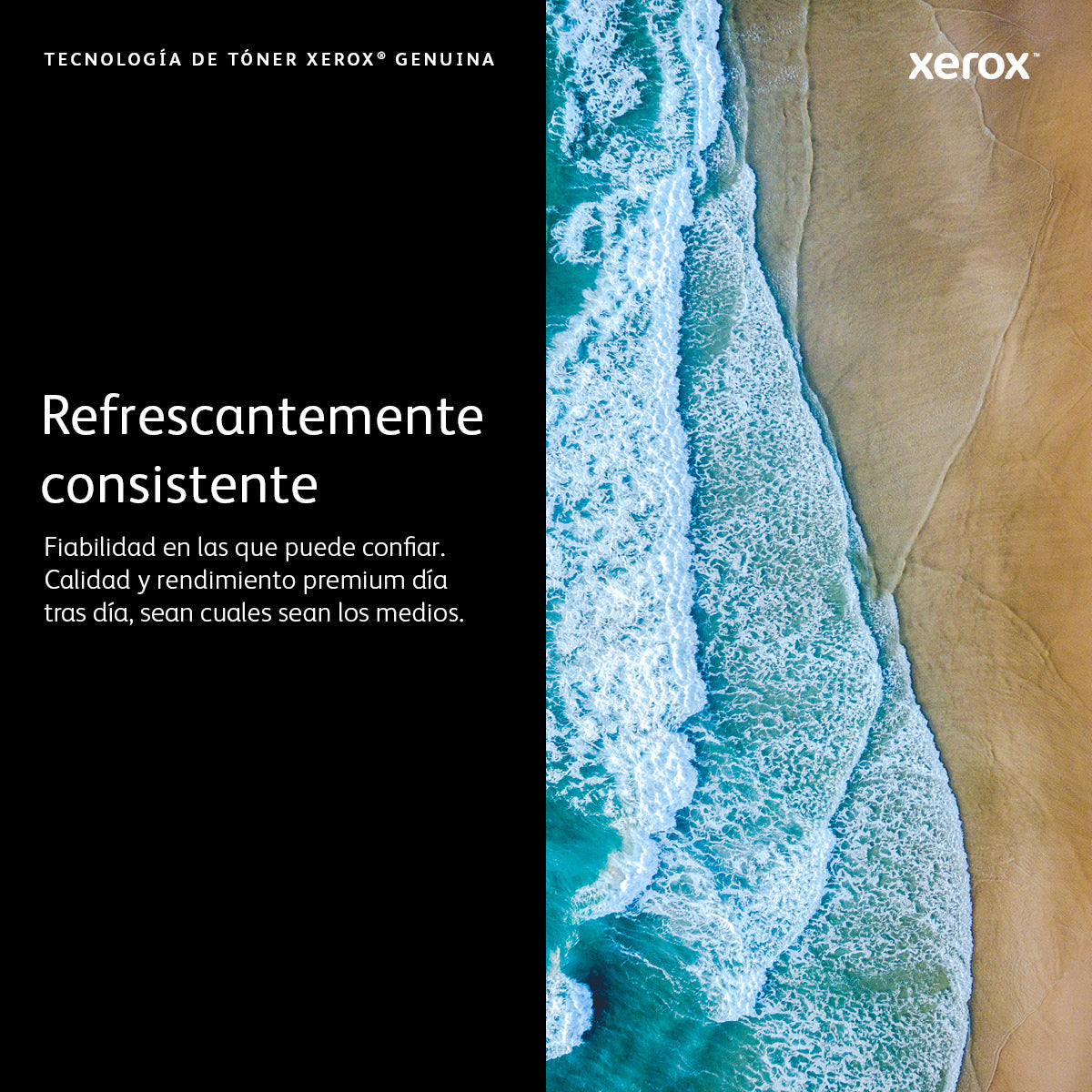 Xerox 006R04387 cartucho de tóner 1 pieza(s) Original Negro