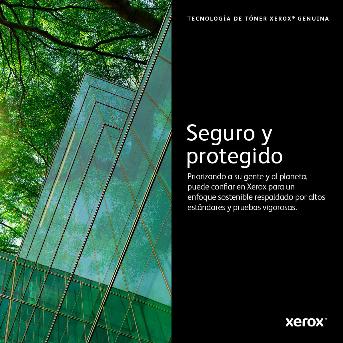 Xerox 006R04387 cartucho de tóner 1 pieza(s) Original Negro
