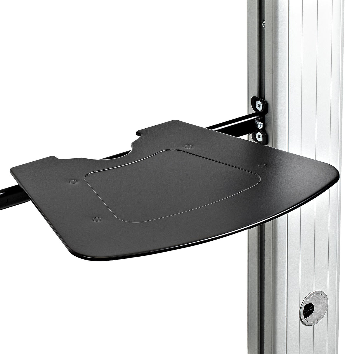 StarTech.com STNDMTVDUO soporte para TV 152.4 cm (60") Negro, Plata
