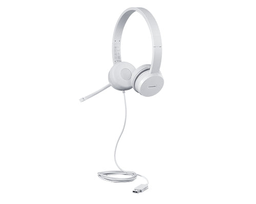 Diadema Alámbrica Lenovo 110 USB Color Nube Gris