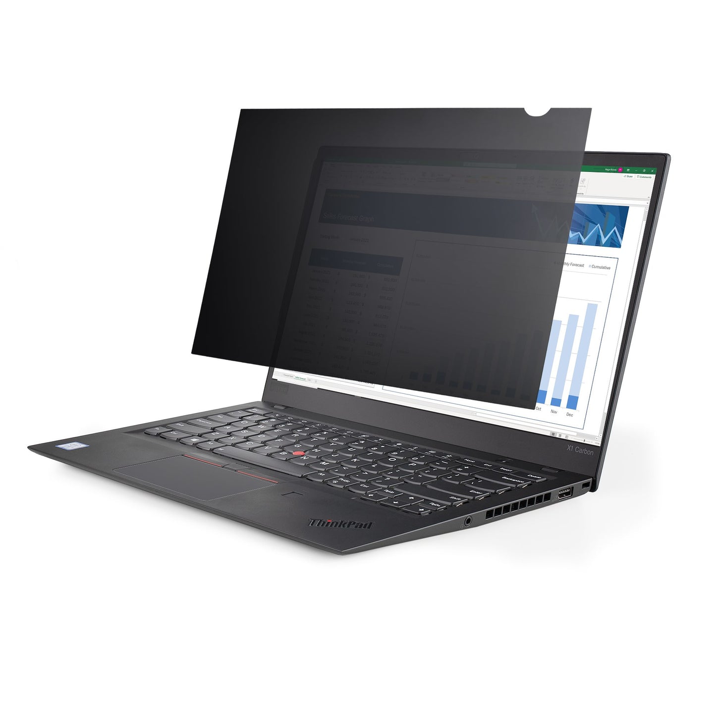 StarTech.com 156L-PRIVACY-SCREEN filtro para monitor 39.6 cm (15.6") Computadora portátil Filtro de privacidad para pantallas sin marco