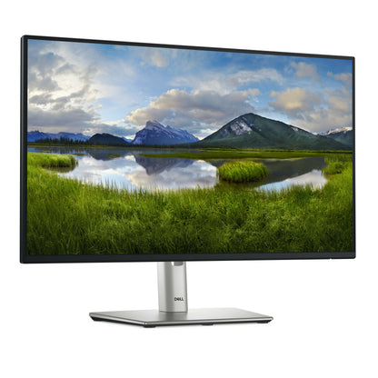DELL Pro Plus P2425H monitor de computadora 61 cm (24") 1920 x 1080 Pixeles Full HD LCD Negro