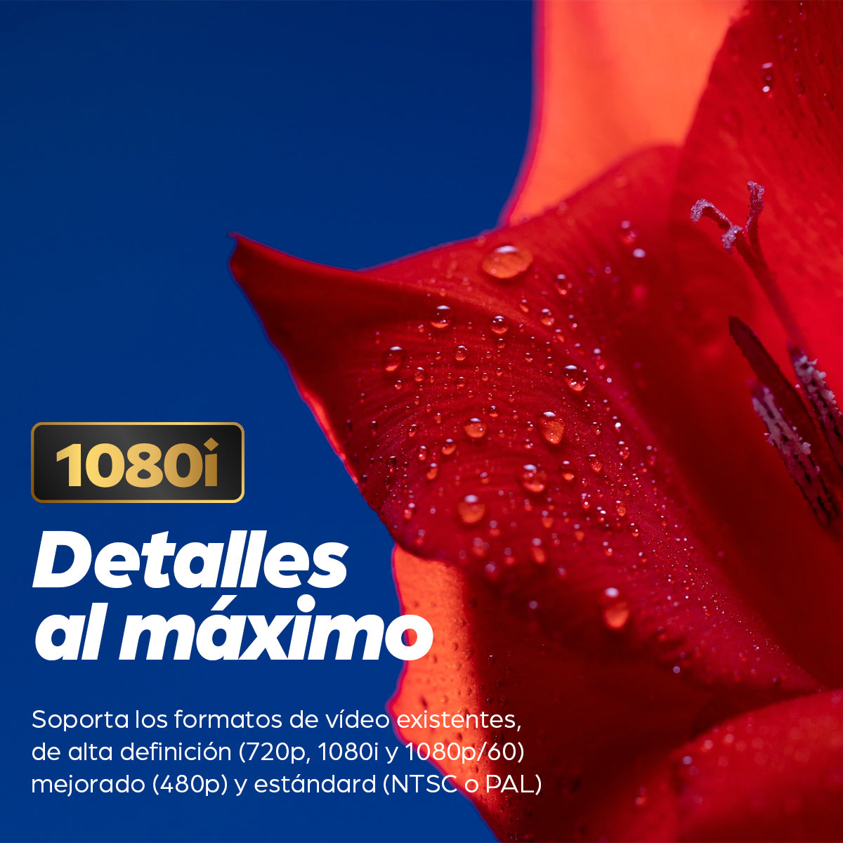 Manhattan 372503 adaptador de cable de vídeo 1.8 m HDMI Tipo A (Estándar) DVI-D Negro