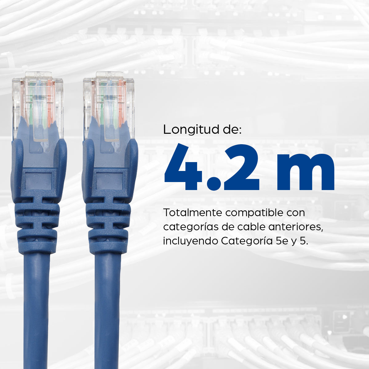 Intellinet 343305 cable de red Azul 5 m U/UTP (UTP)