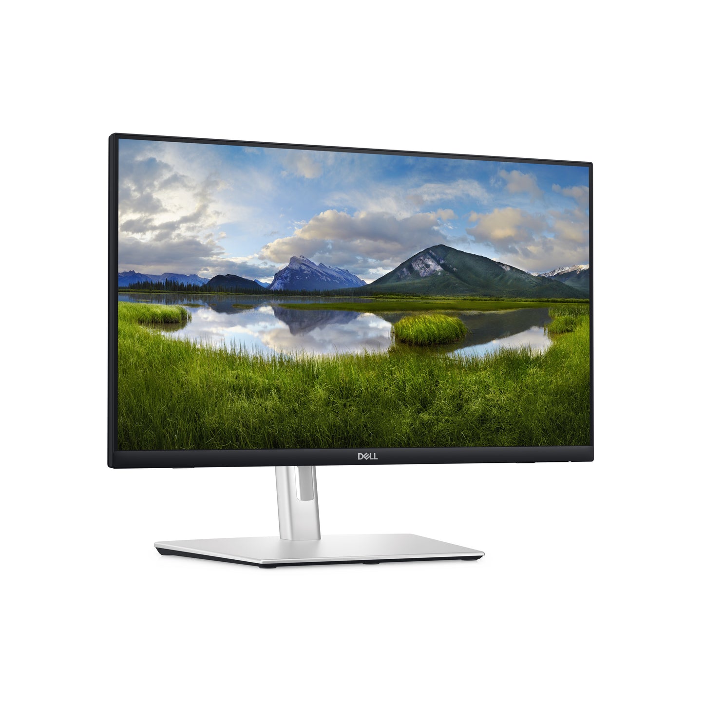 DELL P Series P2424HT monitor de computadora 60.5 cm (23.8") 1920 x 1080 Pixeles Full HD LCD Pantalla táctil Negro, Plata