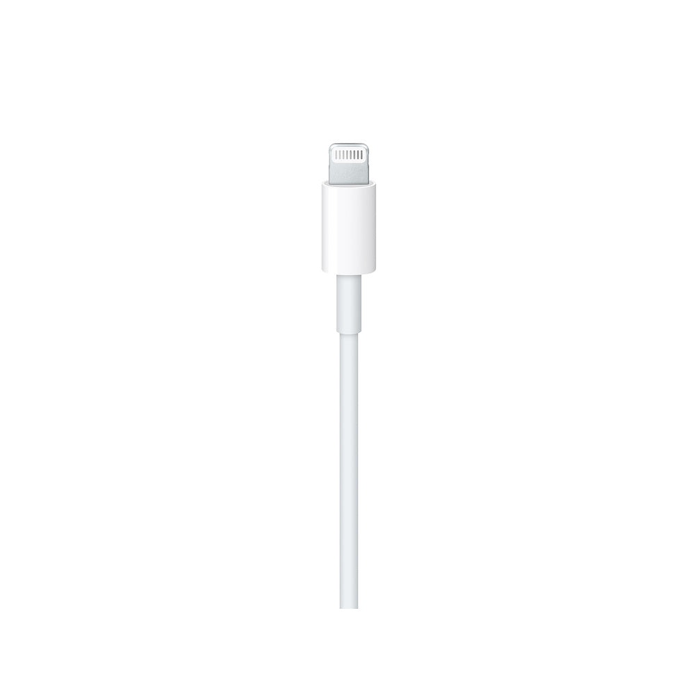Cable Apple Lightning 1 Metro USB-C