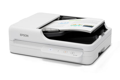 Epson DS-1730 Escáner de base plana y ADF 1200 x 1200 DPI A4 Negro, Blanco