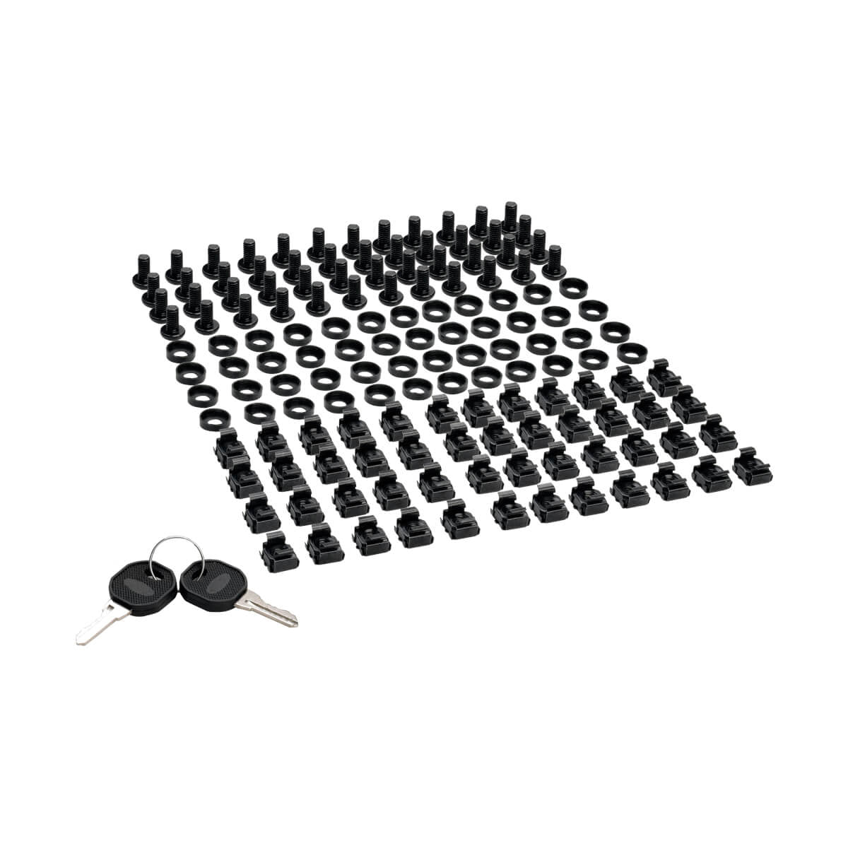 Tripp Lite SRW18USDP armario rack Bastidor de pared Negro