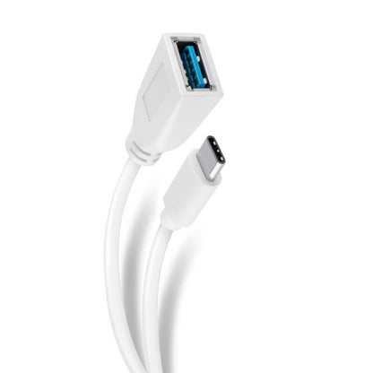 Adaptador Plug USB C a Jack USB 3.0