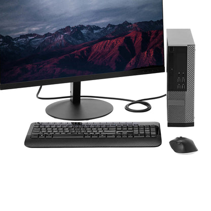 StarTech.com DISPL3M cable DisplayPort Negro
