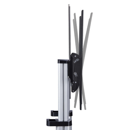 StarTech.com 1110C-MOBILE-TV-CART soporte para TV 2.54 m (100") Negro, Plata