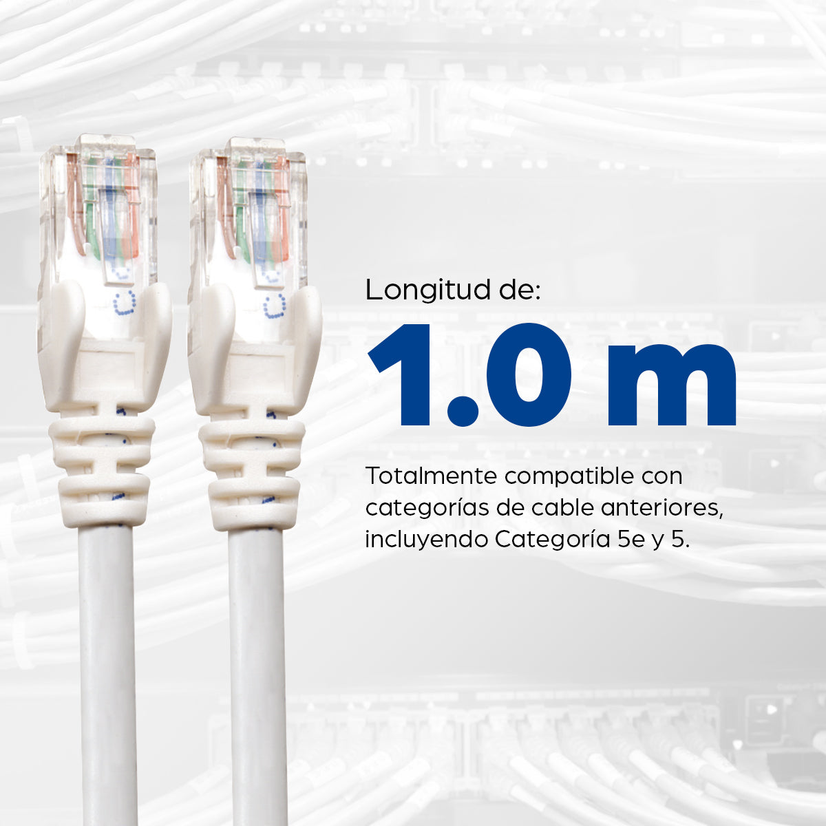 Intellinet 341943 cable de red Blanco 1 m
