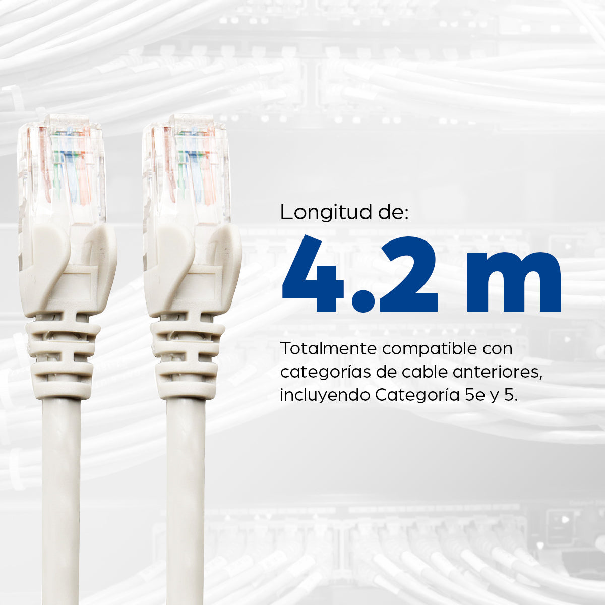 Cable Intellinet Red Cat6 UTP RJ45 M-M 5m Color Blanco