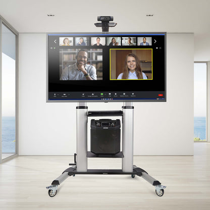 StarTech.com 1110C-MOBILE-TV-CART soporte para TV 2.54 m (100") Negro, Plata
