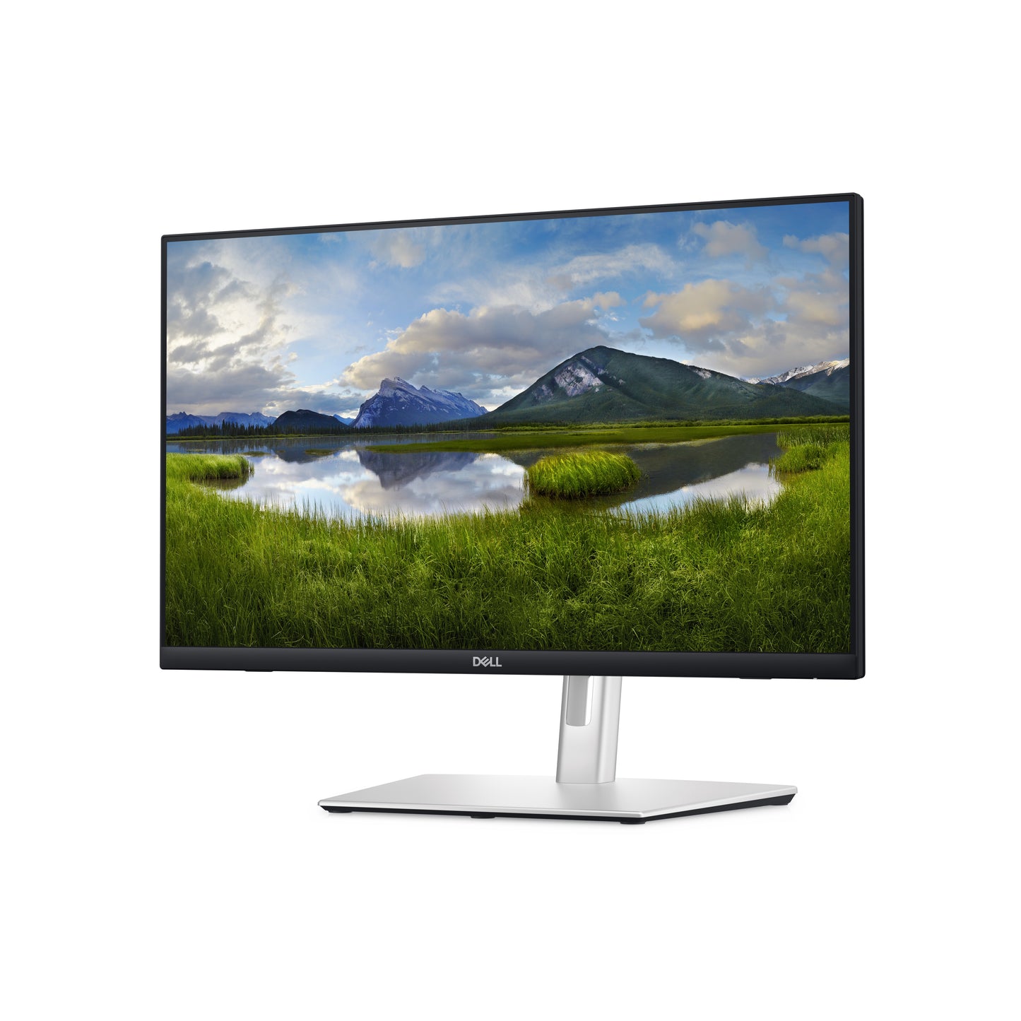 Monitor DELL P2424HT