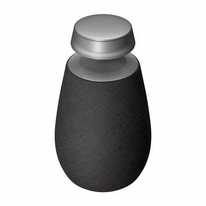 Bocina LG XBOOM 360 20W bocina bluetooth con sonido omnidireccional 360 negro