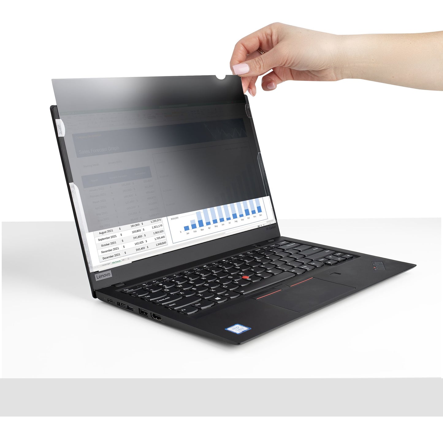 StarTech.com 173L-PRIVACY-SCREEN filtro para monitor 43.9 cm (17.3") Computadora portátil Filtro de privacidad para pantallas sin marco