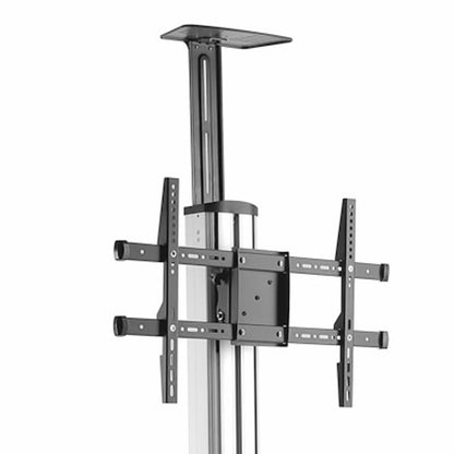 StarTech.com STNDMTV70 soporte para pantalla de señalización 190.5 cm (75") Negro, Acero inoxidable
